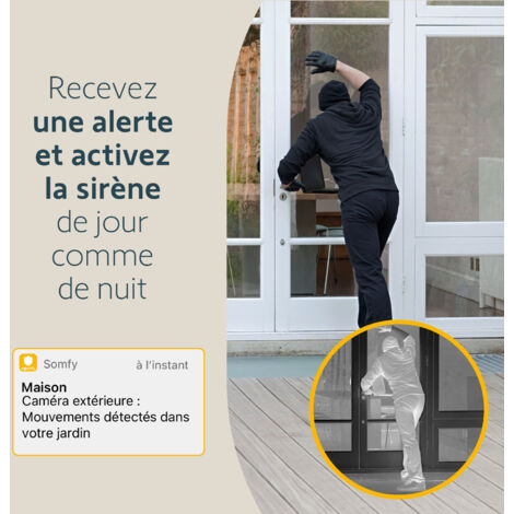 SOMFY 2401563 - Outdoor Camera grise - Caméra de surveillance extérieure wifi - 1080p Full HD - Sirène 110 dB - Branchement possible sur luminaire existant