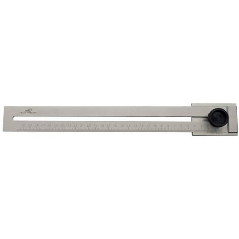 Trusquin universel en acier inoxydable 300 mm – Vis de blocage pour précision – Outil de traçage pour menuiserie – Helios Preisser - A594393