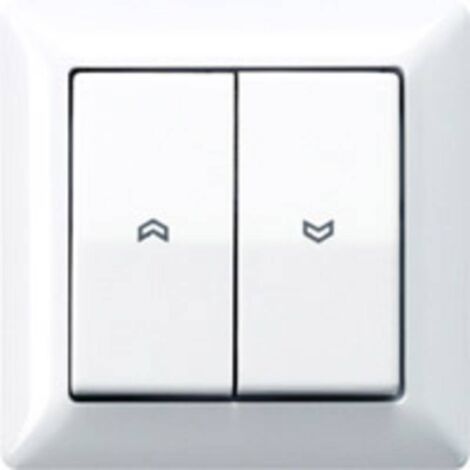 Jung simple Insert Bouton-poussoir blanc-alpin AS590-5PWW 1 pc(s) Q267562 (1/2)