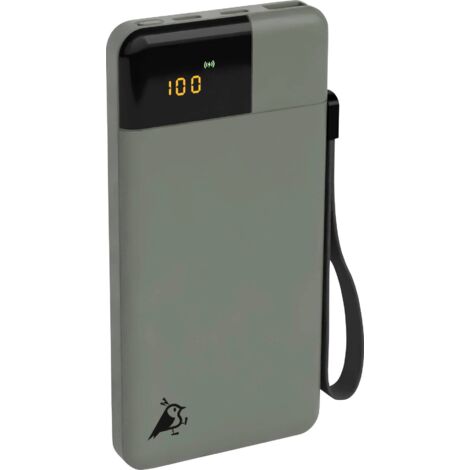 Aqiila Powerbird B10M Powerbank (batterie supplémentaire) 10000 mAh LiPo USB-A, USB-C® vert mousse (1/5)