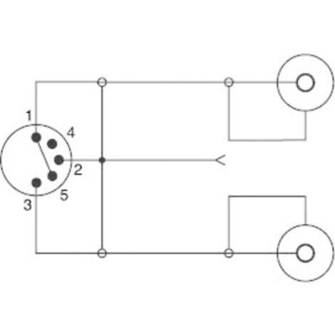 SpeaKa Professional SP-7870284 Cinch-RCA / connexion DIN audio Adaptateur Y [1x diode mâle 5 pôles (DIN) - 2x Cinch-RCA