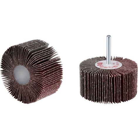 Rhodius 305648 Roue à lamelles sur tige 10 pc(s) (1/3)