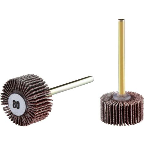 Rhodius 305108 Roue à lamelles sur tige 10 pc(s) (1/3)