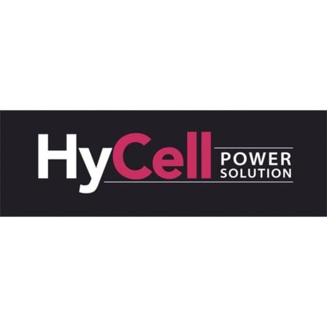 Pile bouton LR 41 alcaline(s) HyCell 30 mAh 1.5 V 4 pc(s)