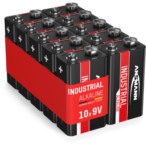 ANSMANN Industrial Piles alcalines 9V pour détecteur de fumée, instrument de mesure, etc. (10 pces) (1/8)