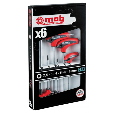 Peddinghaus Jeu de clés mâles coudées 3 mm, 4 mm, 5 mm, 6 mm, 8 mm A064902 (1/2)