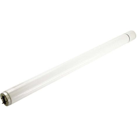Tube UV 40 W 802 – Longueur d'onde 365 nm – Alimentation 230 V – Durée de vie 2000 heures – Pour appareils Mo-el CriCri (1/4)
