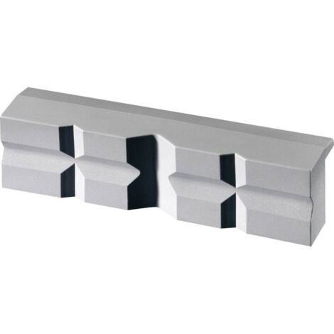 Brockhaus Heuer MAGNETFIX 108120 Mâchoires 108120 Largeur de mâchoire: 120 mm (1/3)