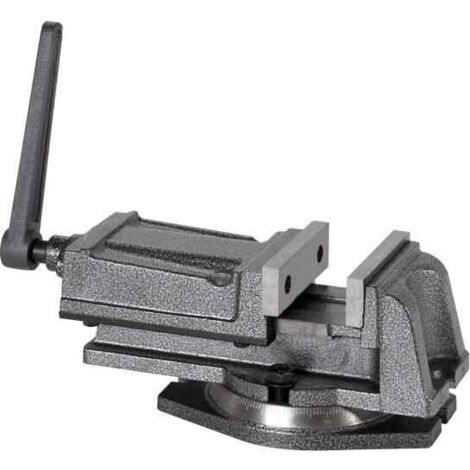 HOLZMANN Etau industriel 100 mm avec base tournante (1/4)