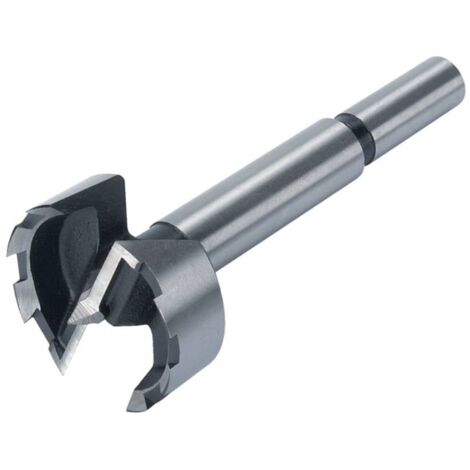 Wolfcraft – Fraise Forstner 50 mm – Acier pour bois – Longueur totale 90 mm – Tige cylindrique – Précision de perçage sans brûlure (1/6)