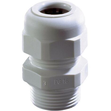 Presse-étoupe Wiska SKV PG36 RAL 7035 10066407 PG36 Polyamide gris clair 1 pc(s) (1/2)