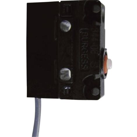 Interrupteur de fin de course TRU COMPONENTS XZ-9/106 1426608 250 V/AC 10 A  tige à ressort à rappel IP65 1 pc(s) S805351