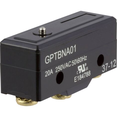 ZF GPTBNA01 Microrupteur GPTBNA01 250 V/AC 20 A 1 x On/(On) à rappel 1 pc(s) D73685 (1/2)