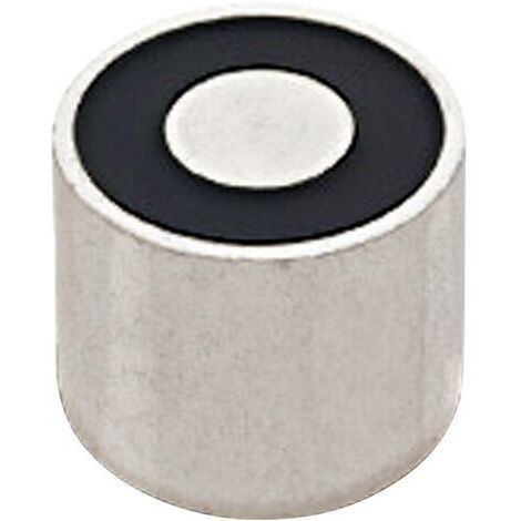 RED MAGNETICS Electroaimant aimanté (état hors tension) 25 N 12 V/DC 2 W ITS-PE-1515-12VDC