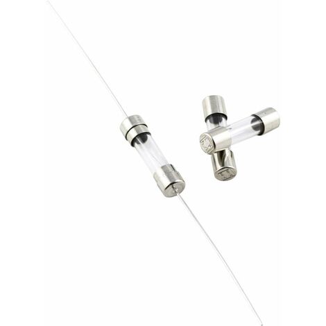 Micro-fusible ESKA 520.107 (Ø x L) 5 mm x 20 mm 0.1 A 250 V ultra-rapide -FF- 10 pc(s)