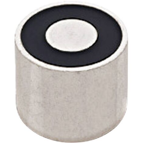 RED MAGNETICS Electroaimant aimanté (état hors tension) 45 N 12 V/DC 3.8 W ITS-PE2025-12VDC (1/2)