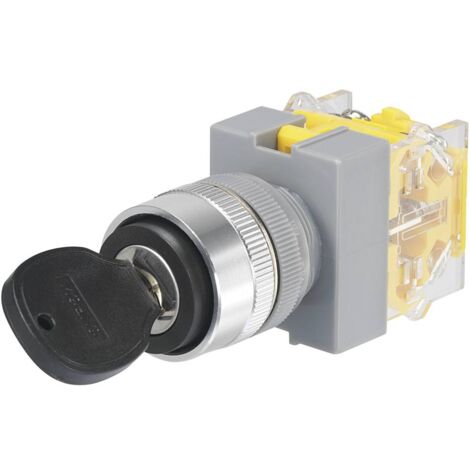 Commutateur à clé TRU COMPONENTS 704509 Y090-A-20Y/31 250 V/AC 5 A 1 x On/Off/On 2 x 45 ° IP40