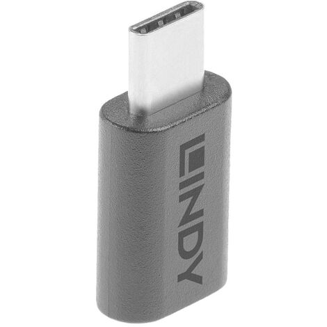 LINDY USB 3.2 Gen 2x2 Adaptateur [1x USB-C® mâle - 1x USB-C® femelle]