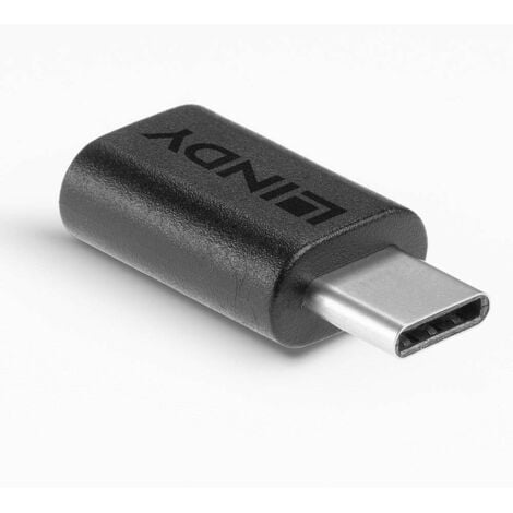 LINDY USB 3.2 Gen 2x2 Adaptateur [1x USB-C® mâle - 1x USB-C® femelle]