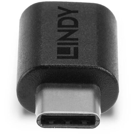 LINDY USB 3.2 Gen 2x2 Adaptateur [1x USB-C® mâle - 1x USB-C® femelle]