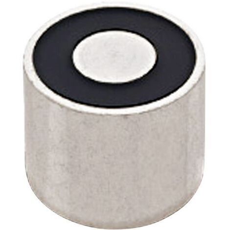 RED MAGNETICS Electroaimant aimanté (état hors tension) 25 N 24 V/DC 3.6 W ITS-PE-1515-24VDC (1/2)