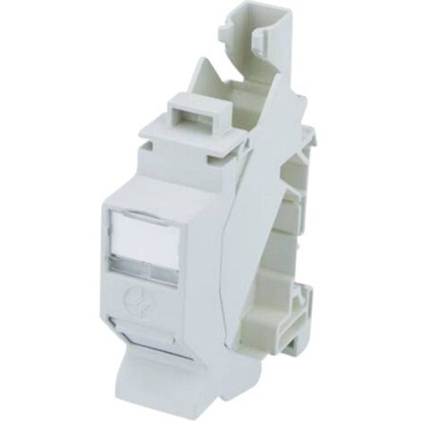 Module AMJ-S CAT 6a T568B Telegärtner 100023004 RJ45 Boîtier femelle RJ45 gris 1 pc(s) S372611 (1/3)