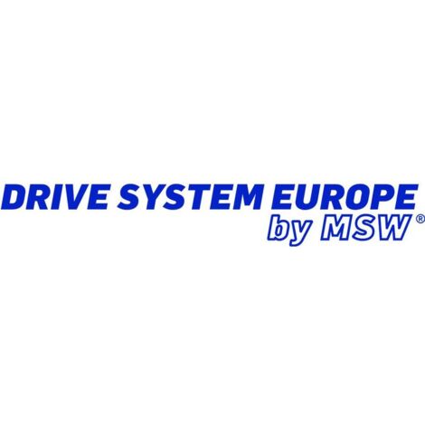 Motoréducteur c.c Drive System Europe by MSW DSMP320-24-0051-BF 024307 24 V 0.25 A 0.22 Nm 103 tr/min Diamètre de l'arb