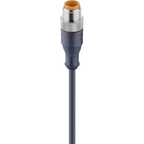 Connecteur confectionné pour capteurs/actionneurs M12 Lumberg Automation RST 8-282/2 M 47076-1 mâle, droit 2.00 m Nombr (1/2)