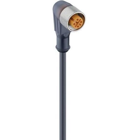 Connecteur confectionné pour capteurs/actionneurs M12 Lumberg Automation RKWT 5-228/5 M 29637-1 femelle, coudé 5.00 m N (1/2)