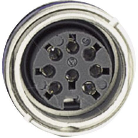 Amphenol C091 31N006 100 2 Cosse cylindrique mâle embase femelle Nombre total de pôles: 6 Série (connecteur rond): C091 1 pc(s) D17465 (1/4)