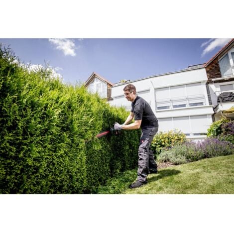 Metabo HS 18 LTX 65 sans fil Taille-haie sans batterie 18 V