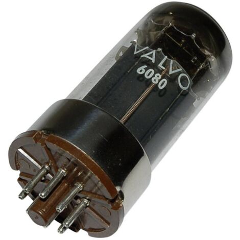 BTB Vertrieb 6080 = 6 A S 7 W Tube électronique Double triode 100 V 100 mA Nombre de pôles: 8 Culot: octal Contenu 1 pc (1/2)