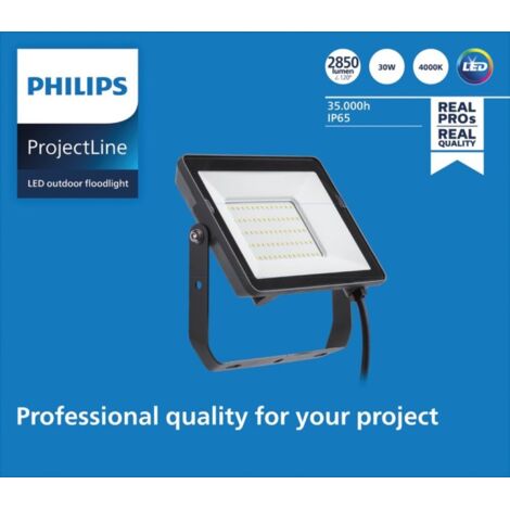 Philips – Projecteur à détecteur de mouvement 30W – Lumière blanc naturel 4000K – Indice de protection IP65 – Design métal élégant