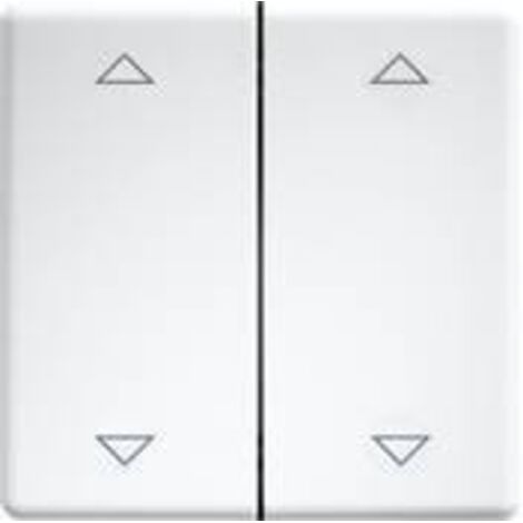 DW-FT55-rw+2P Eltako Interrupteur à bascule double X249192