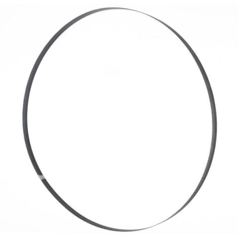 Lame de scie à ruban 1575x10x0,36 mm 6 ZpZ Holzmann Maschinen BSB230B10