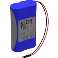 Ansmann 2S1P Akkupack 2x 18650 Kabel Li-Ion 7.2V 2600mAh Pack de piles rechargeables 2x Li-Ion 7.2 V 2600 mAh