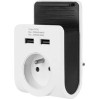 2 USB Prise protégée 2P+T support téléphone,avec parafoudre Legrand 50671