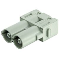 Module mâle HARTING 09140022641 1 pc(s) R608671