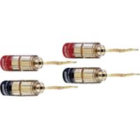 Fiche haut-parleur mâle, droit Oehlbach 3022 rouge, noir 4 pc(s)