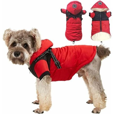 manteau chaud pour petit chien