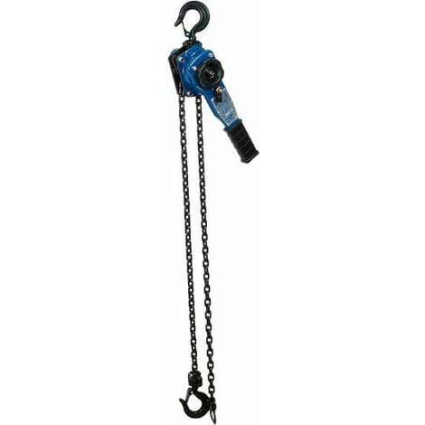 Polipasto Tractel Bravo 1.5m 0.75T