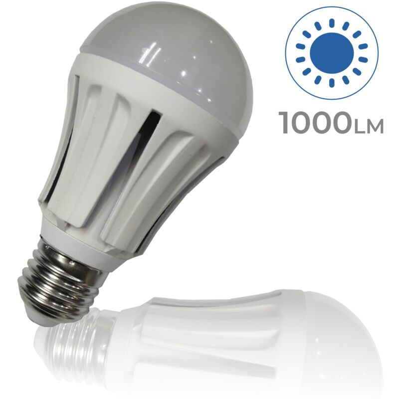 Ampoule LED A60 E27 10W 1000LM Blanc Chaud 3000K - Lot de 10 U.