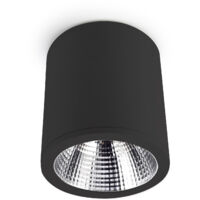 Plafon de Techo Exit 25.9W Blanco Neutro 4000K CRI 80 Negro IP23 2284Lm
