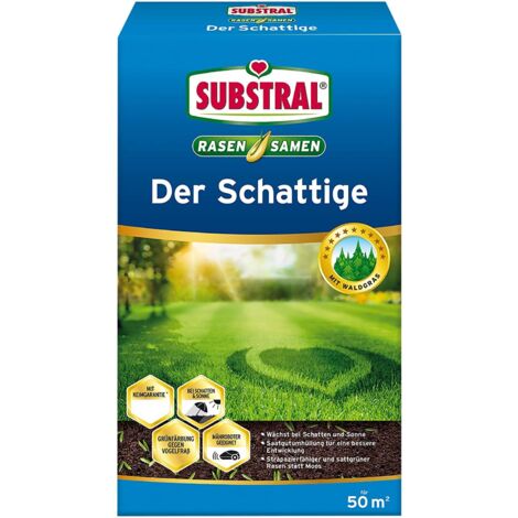 Substral Rasensamen Der Schattige 1kg
