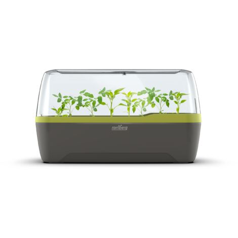 Romberg BoQube L Plus (Pflanzsystem, Farbe Anthrazit-Sommergrün, PAK-frei)