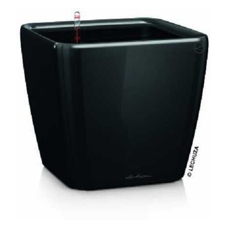 LECHUZA QUADRO Premium LS 43 Komplettset schwarz hochglanz