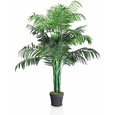 obi kirschlorbeer caucasica Kirschlorbeer Caucasica (Prunus laurocerasus 'Caucasica') | 30-40 cm im  Topf