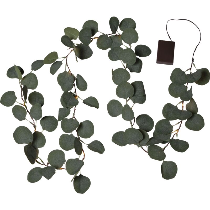 Star LED-Eukalyptuszweig 'Eucalyptus',