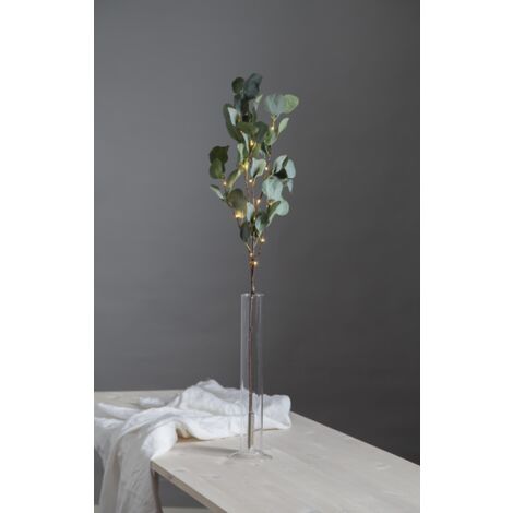Star LED-Eukalyptuszweig 'Eucalyptus',