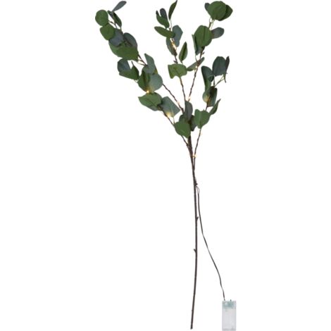 Star LED-Eukalyptuszweig 'Eucalyptus',